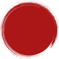 Vector.png